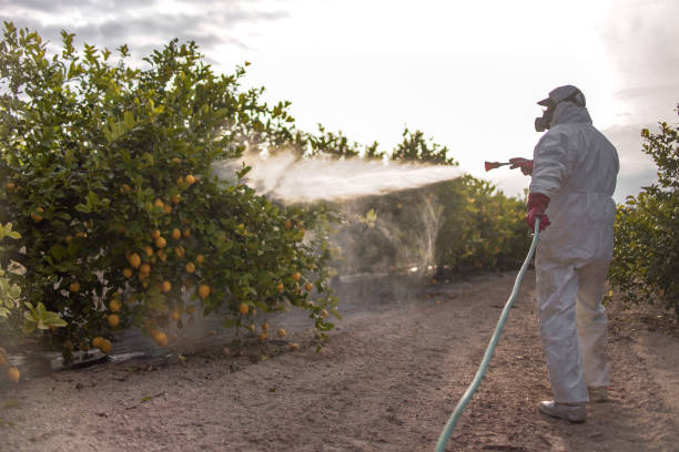 Pest Control for Restaurants in Lewistown, MT